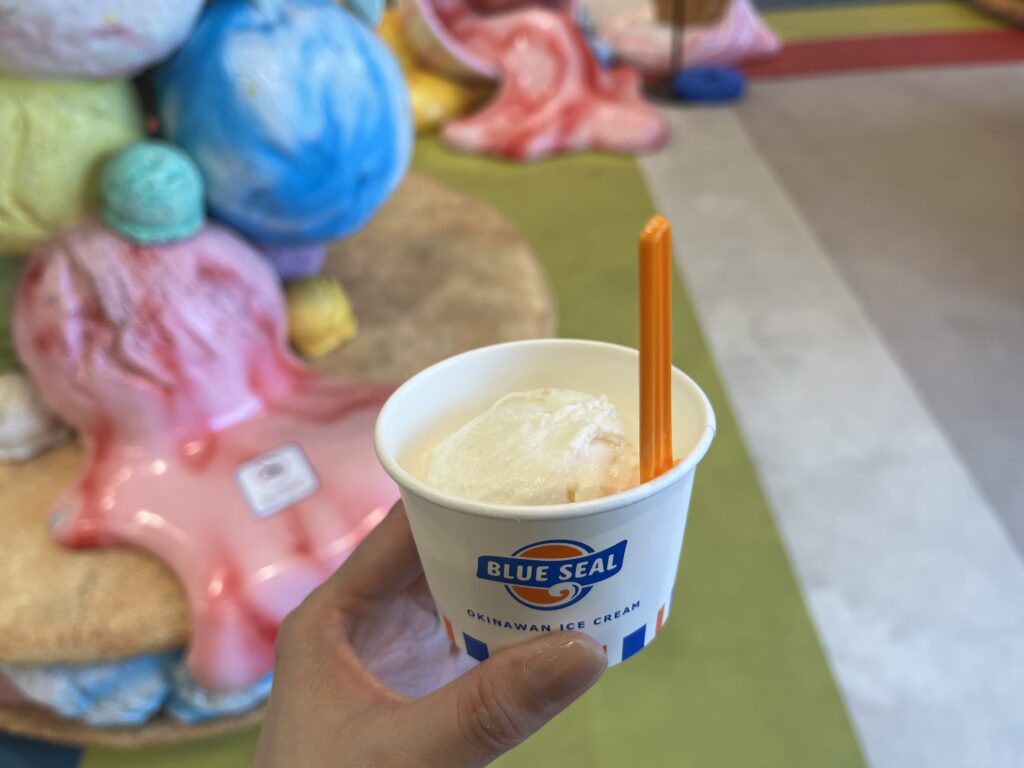 ブルーシール
宮古島パイナガマ
塩ちんすこう